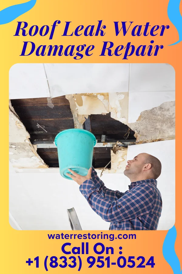 Roof Leak Water Damage Repair in Hayden, ID